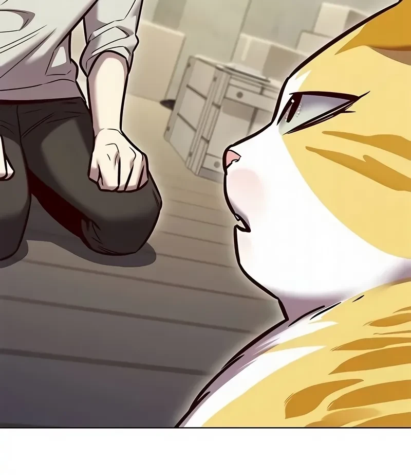 Read Eleceed BR Manga Online