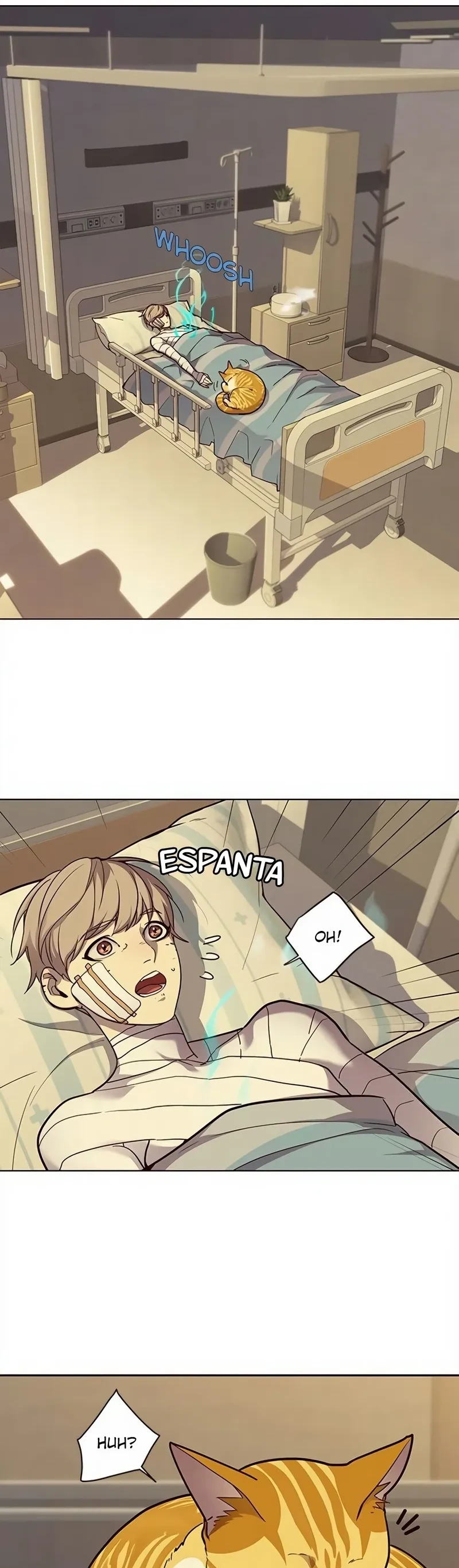 Read Eleceed BR Manga Online