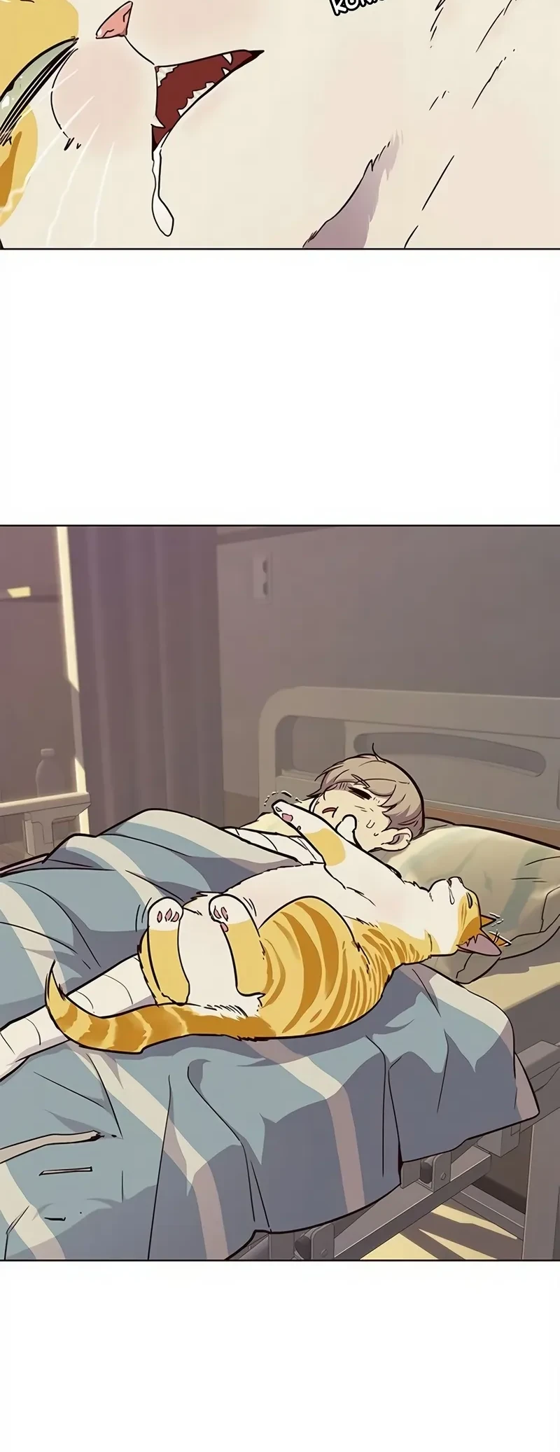 Read Eleceed BR Manga Online