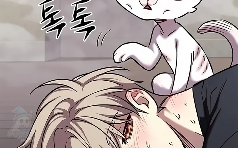 Read Eleceed BR Manga Online