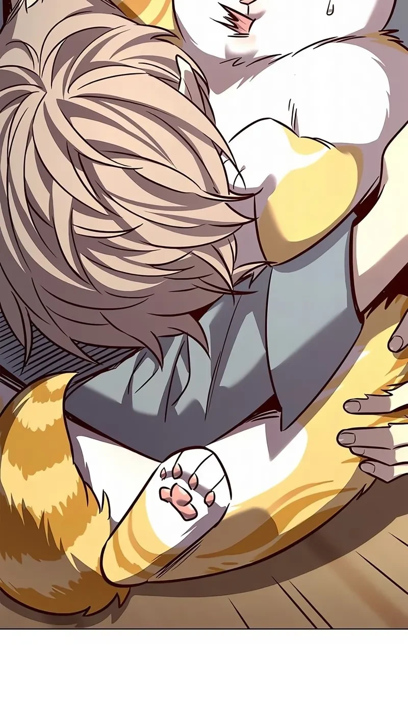 Read Eleceed BR Manga Online