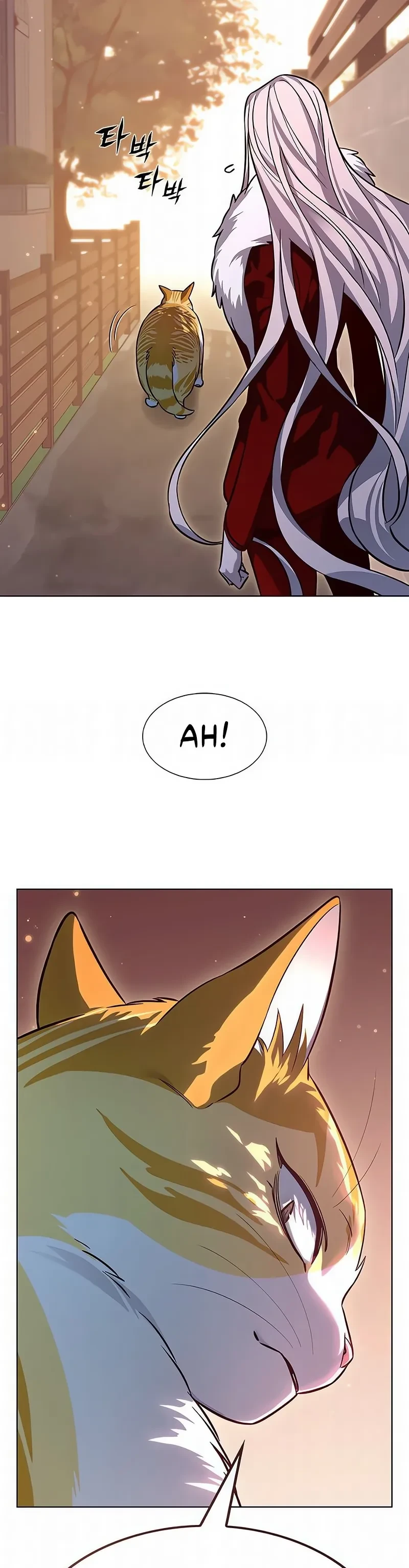 Read Eleceed BR Manga Online