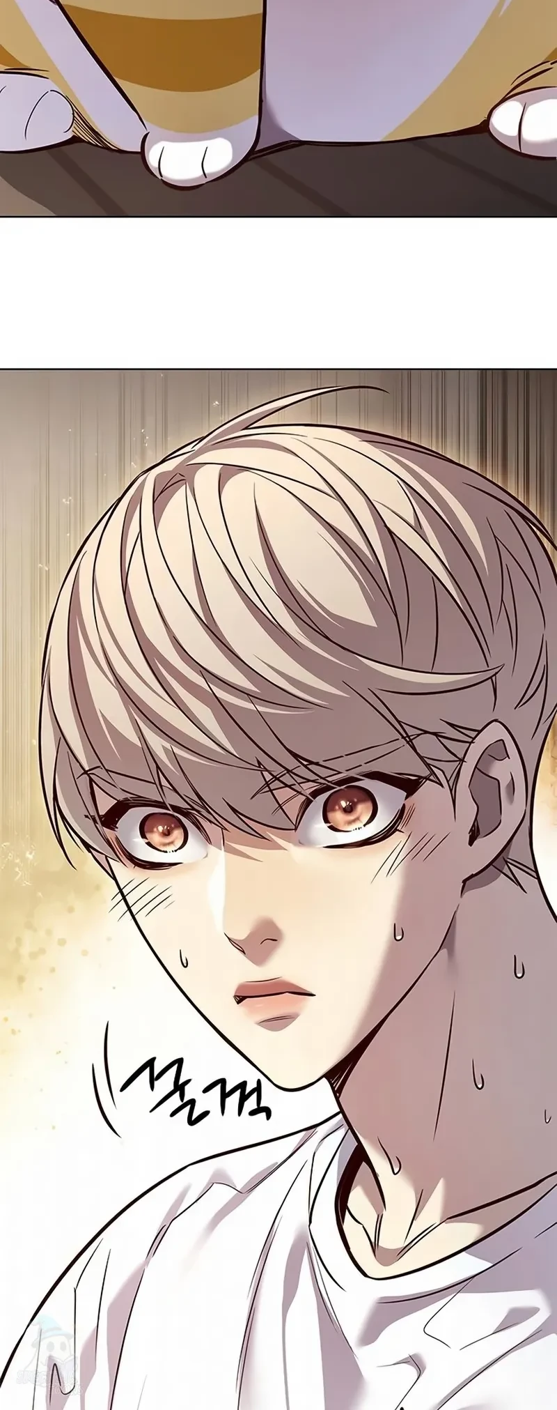 Read Eleceed BR Manga Online