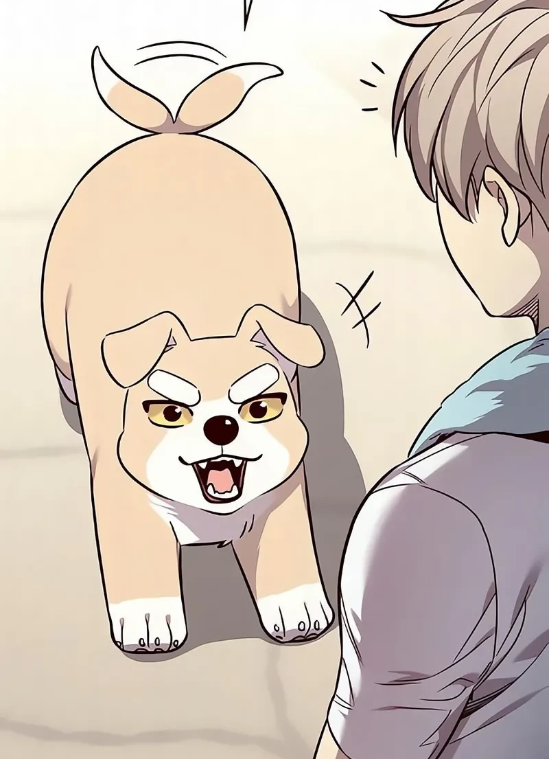 Read Eleceed BR Manga Online