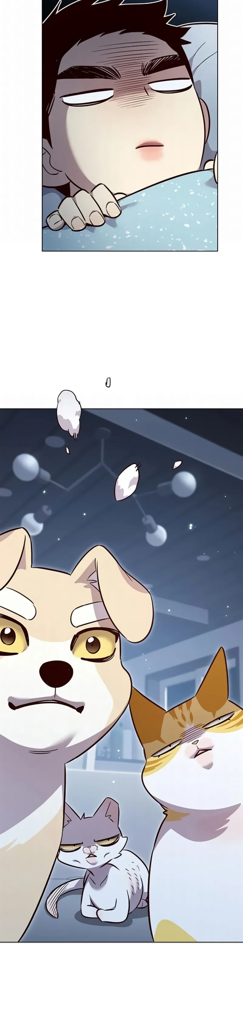 Read Eleceed BR Manga Online