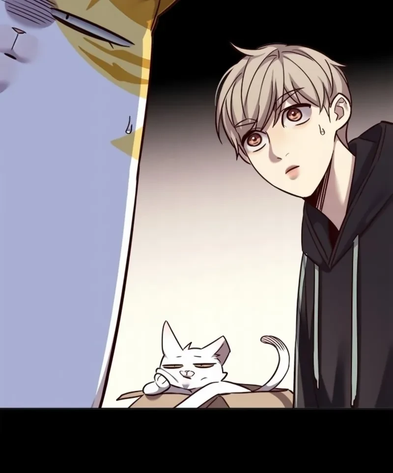 Read Eleceed BR Manga Online