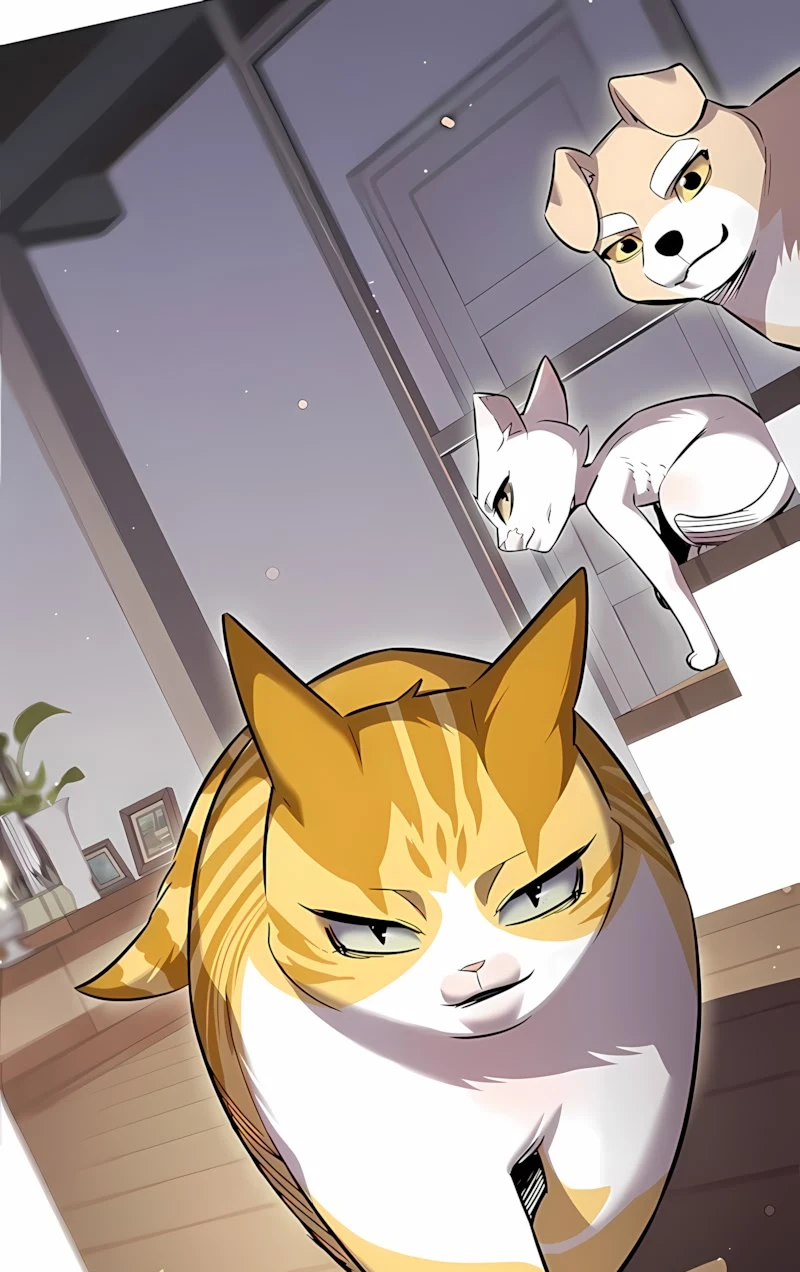 Read Eleceed BR Manga Online
