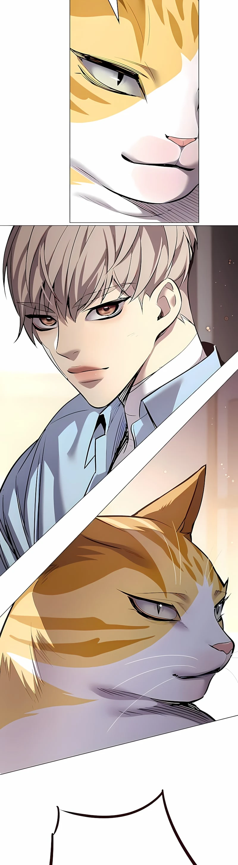 Read Eleceed BR Manga Online