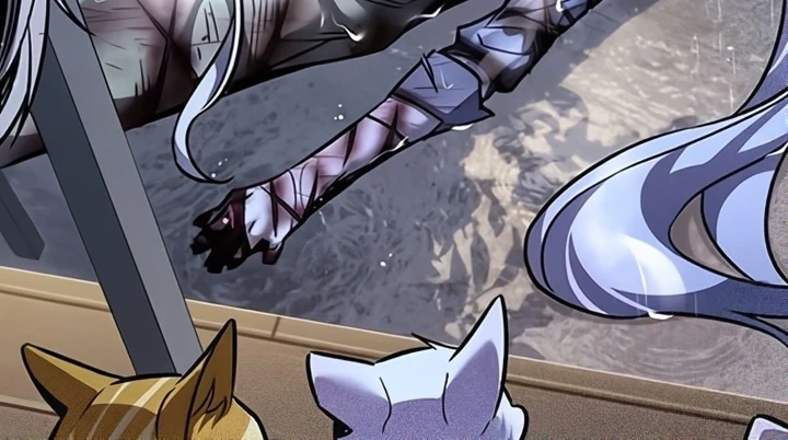 Read Eleceed BR Manga Online