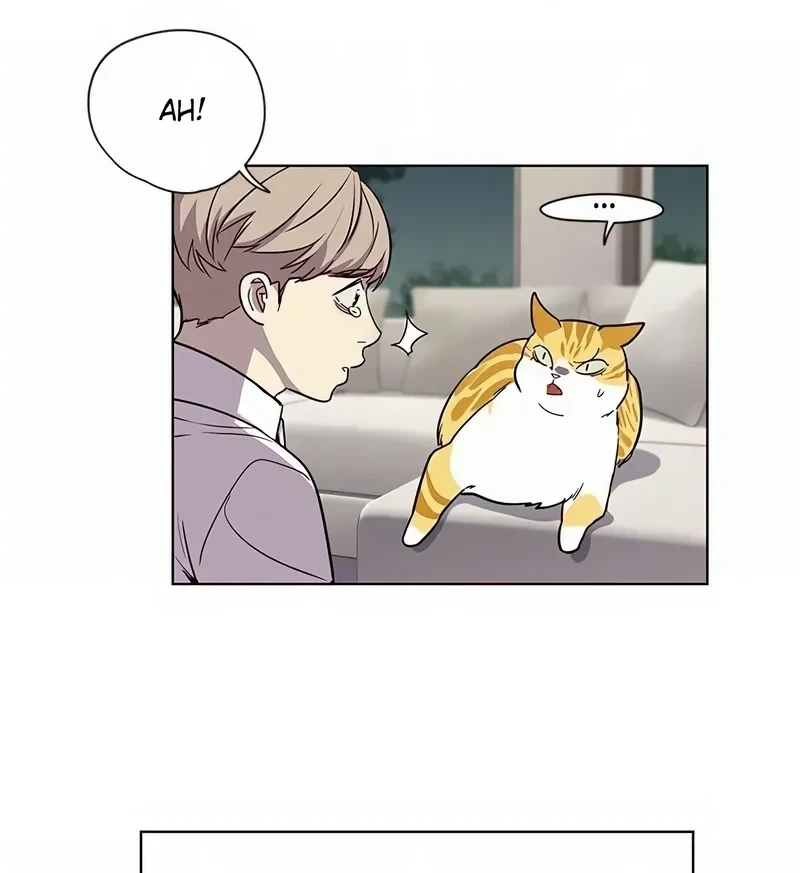 Read Eleceed BR Manga Online