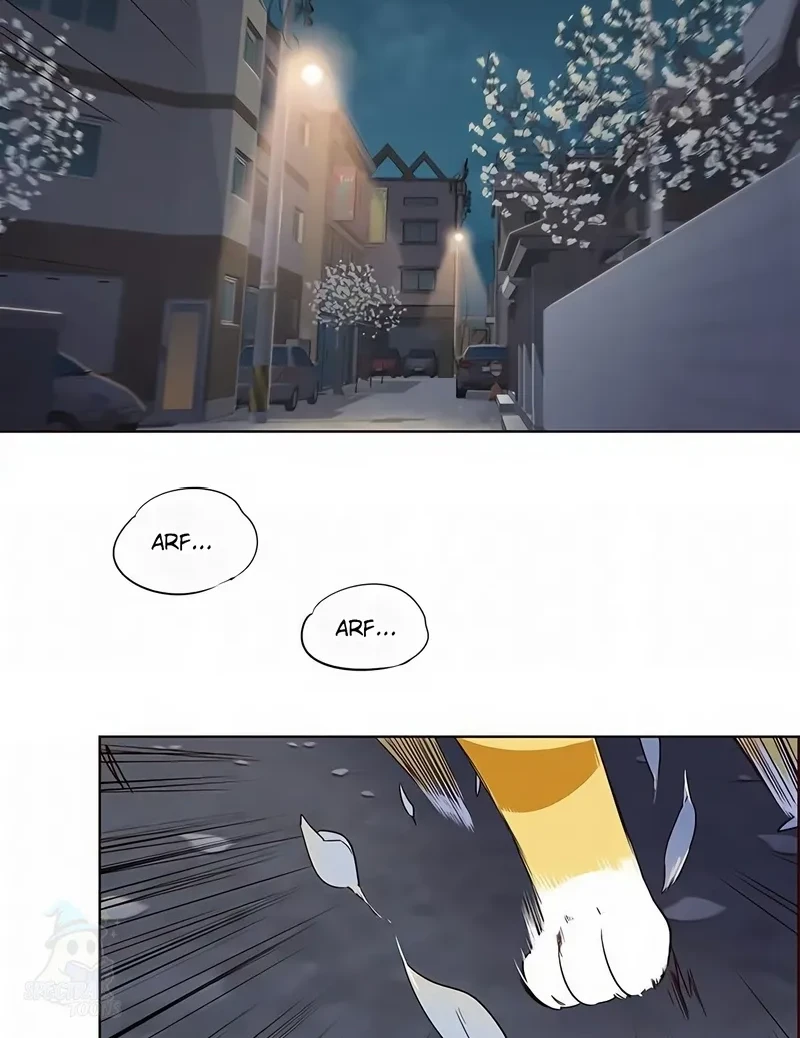 Read Eleceed BR Manga Online