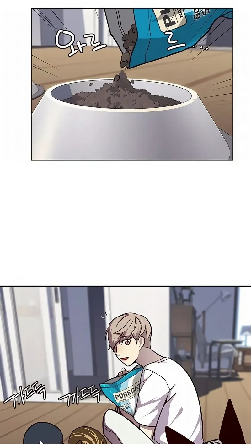 Read Eleceed BR Manga Online