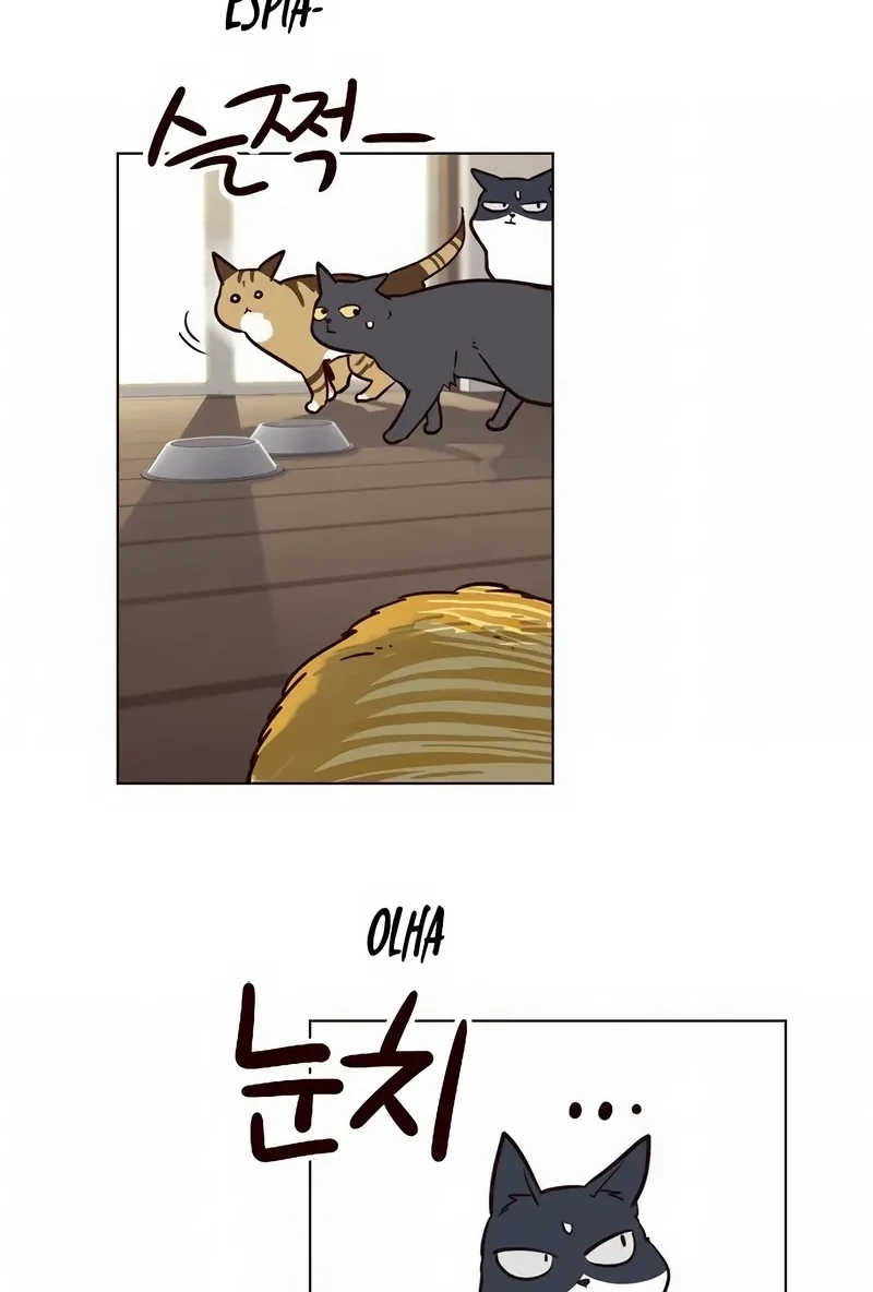 Read Eleceed BR Manga Online