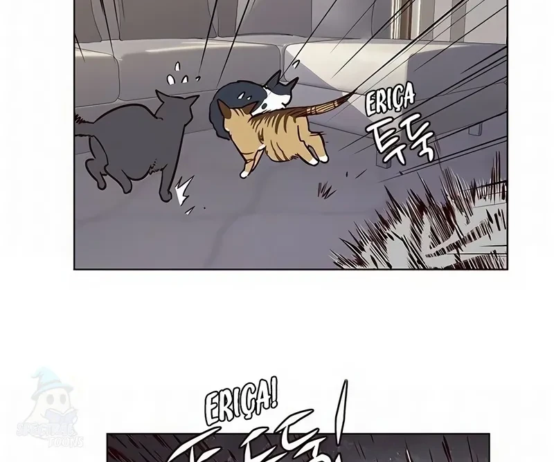 Read Eleceed BR Manga Online