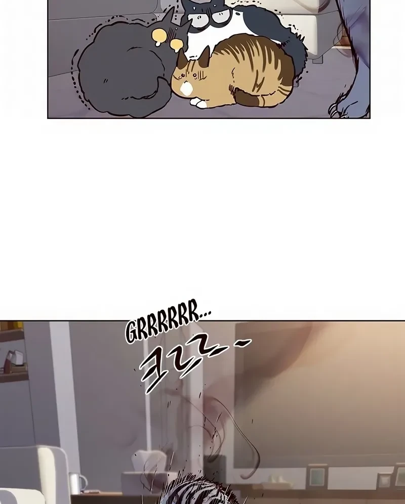 Read Eleceed BR Manga Online