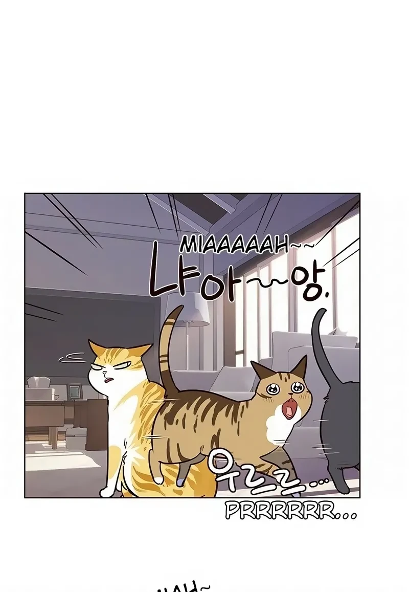 Read Eleceed BR Manga Online