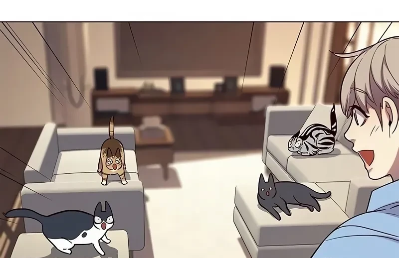 Read Eleceed BR Manga Online