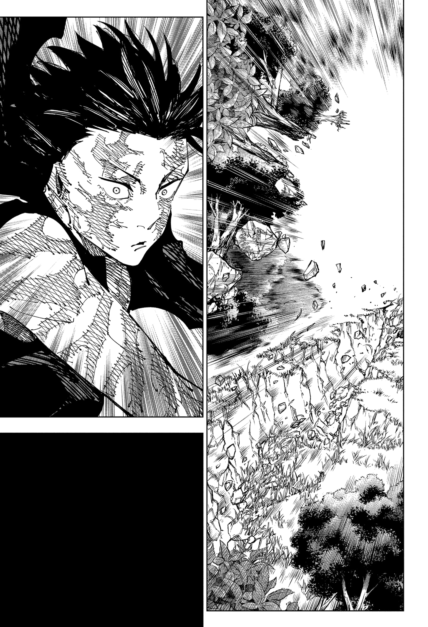 Read Jujutsu Kaisen BR Manga Online