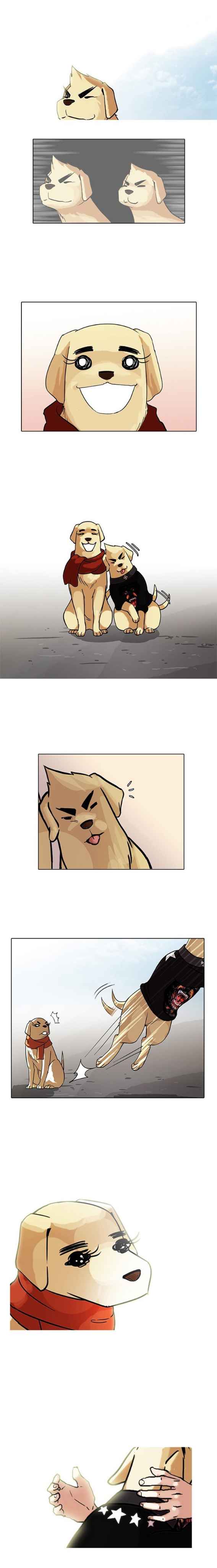 Read Lookism BR Manga Online