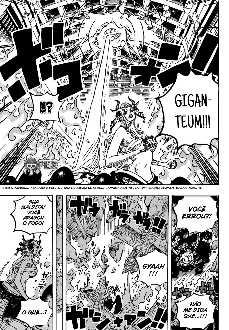 Read One Piece BR Manga Online