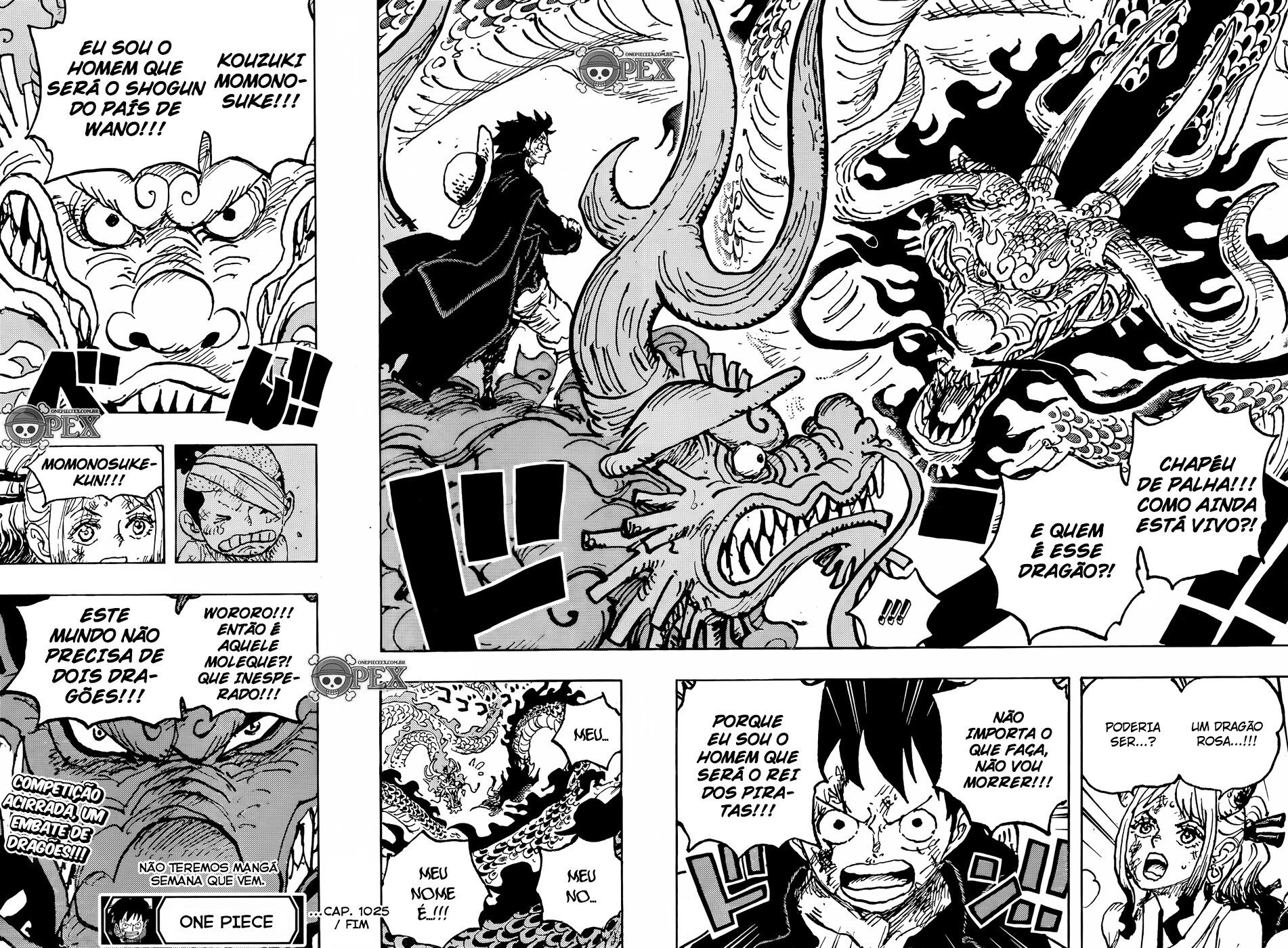 Read One Piece BR Manga Online