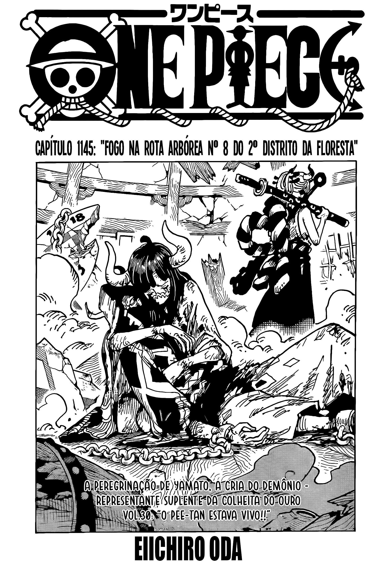 Read One Piece BR Manga Online