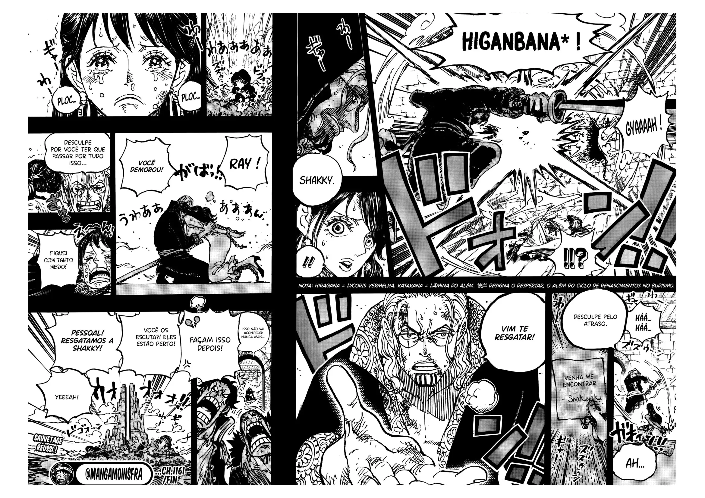 Read One Piece BR Manga Online