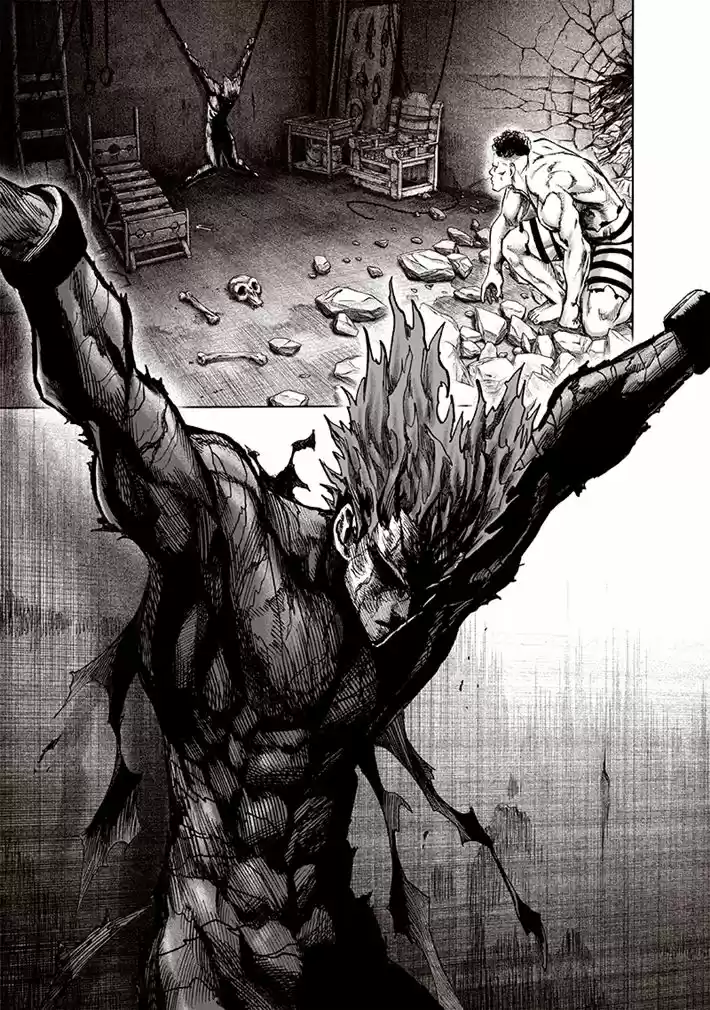 Read One punch man BR Manga Online