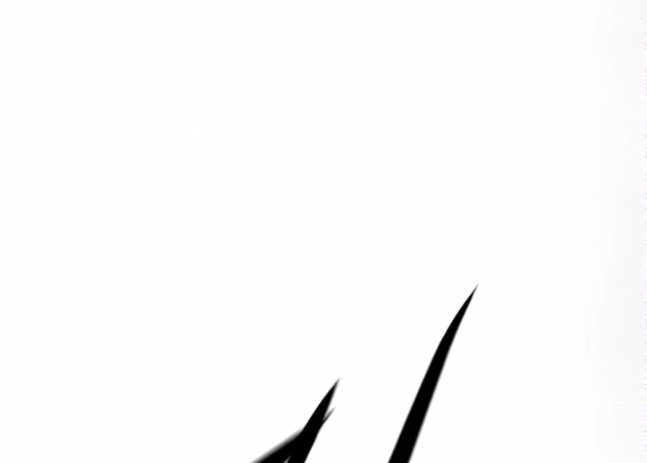 Read Veletric BR Manga Online