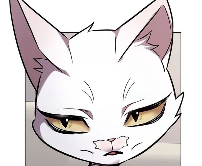 Read Veletric BR Manga Online