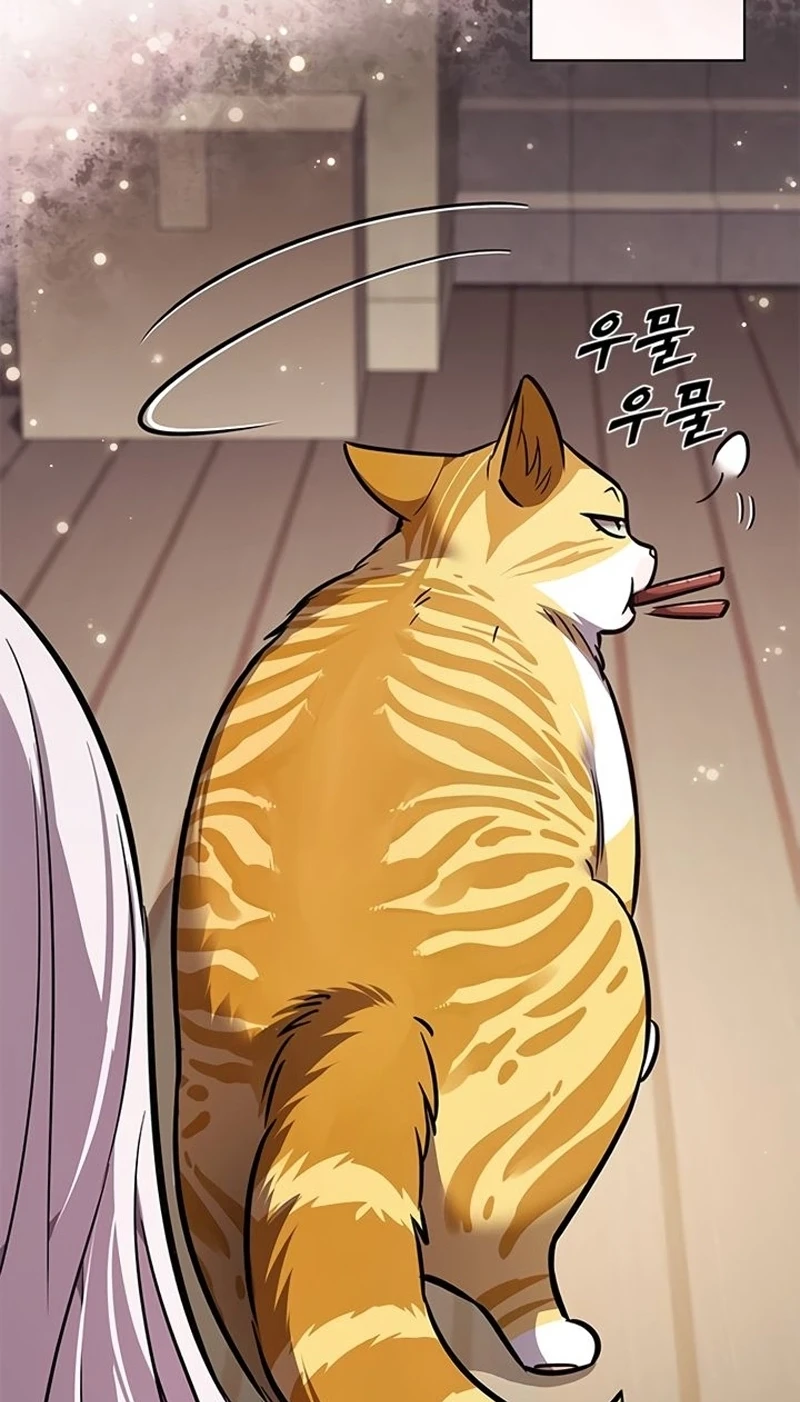 Read Veletric BR Manga Online