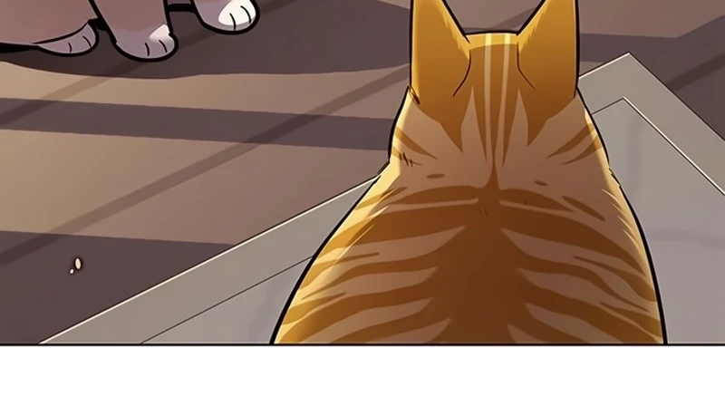 Read Veletric BR Manga Online