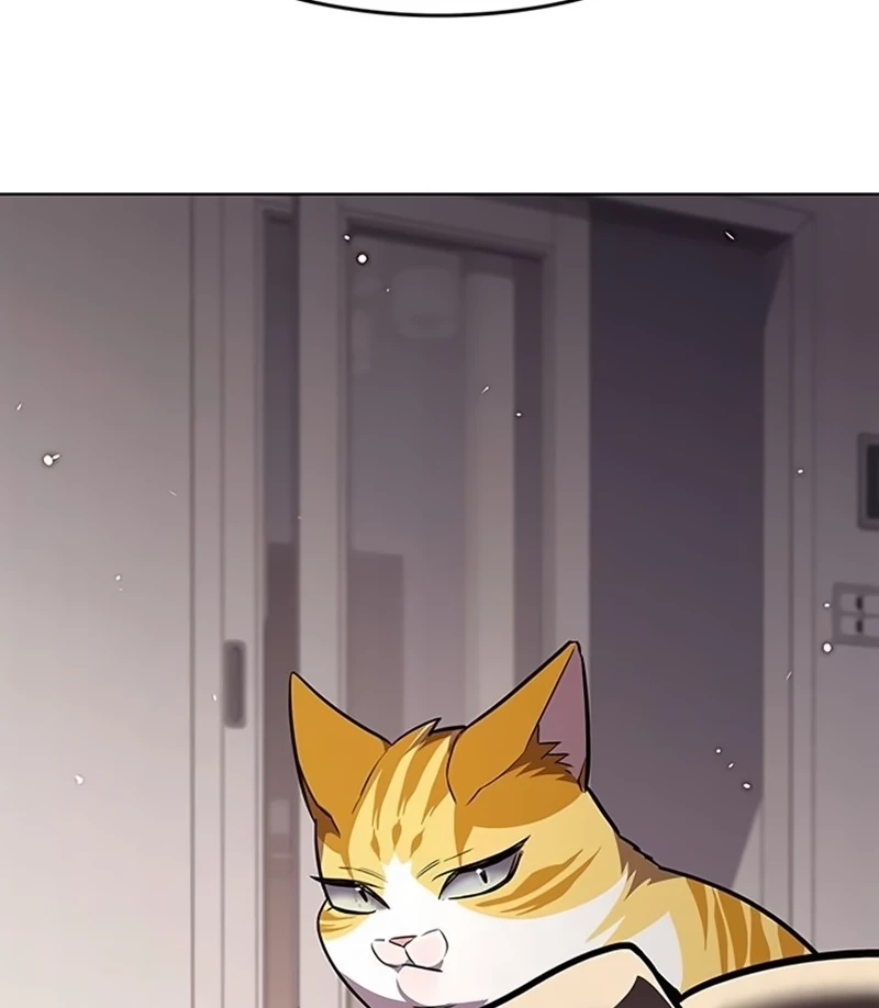 Read Veletric BR Manga Online