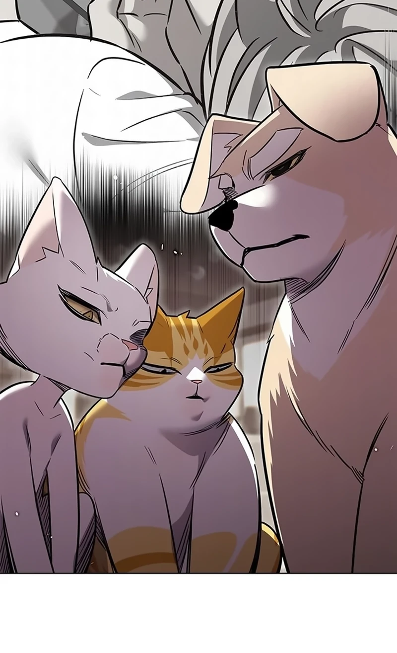 Read Veletric BR Manga Online