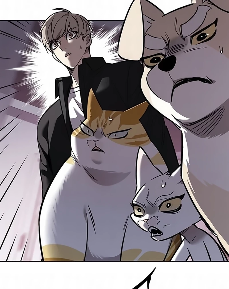 Read Veletric BR Manga Online