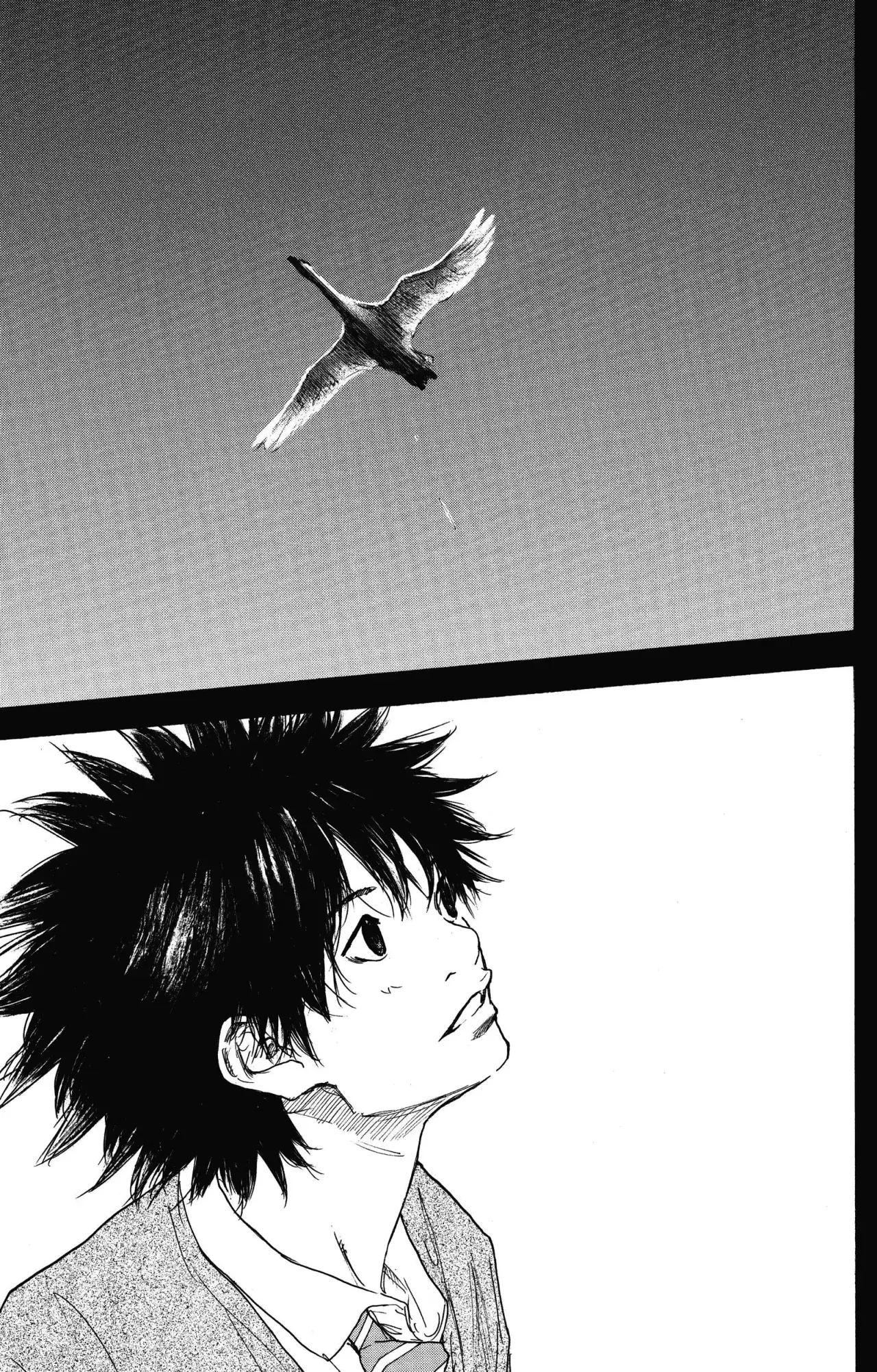 Read Ahiru no Sora es Manga Online