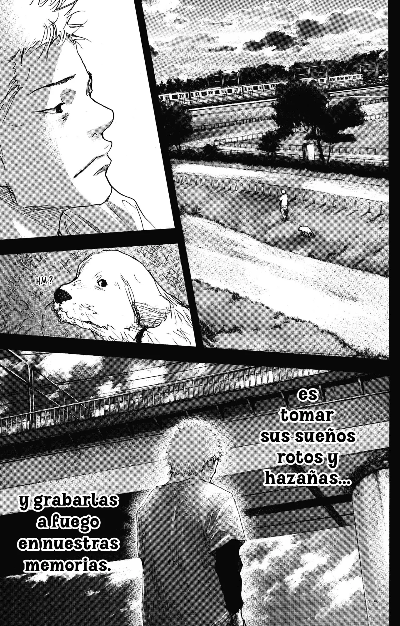 Read Ahiru no Sora es Manga Online