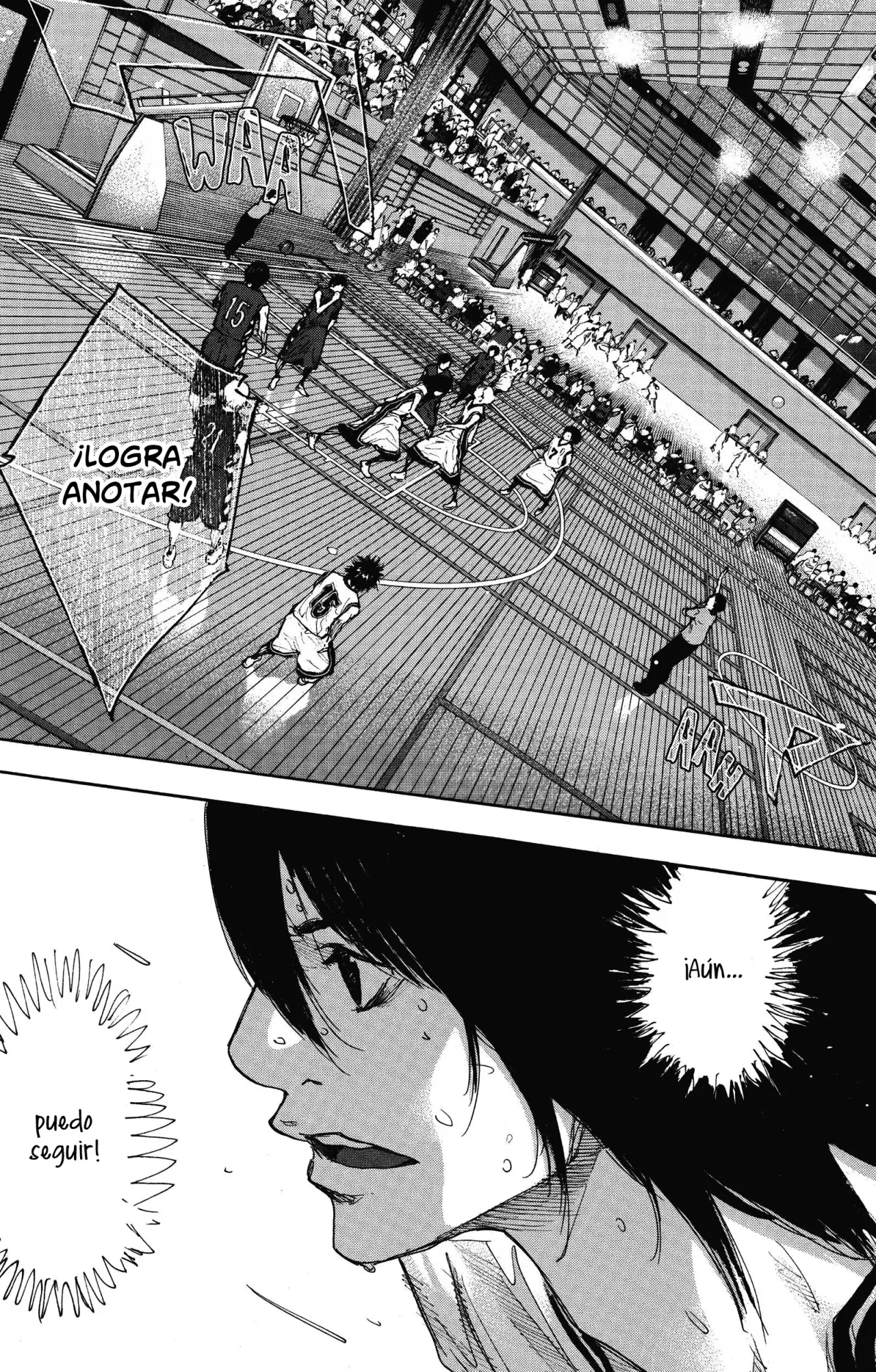 Read Ahiru no Sora es Manga Online