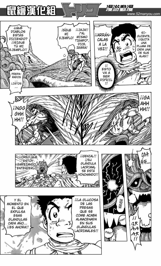 Read Toriko es Manga Online