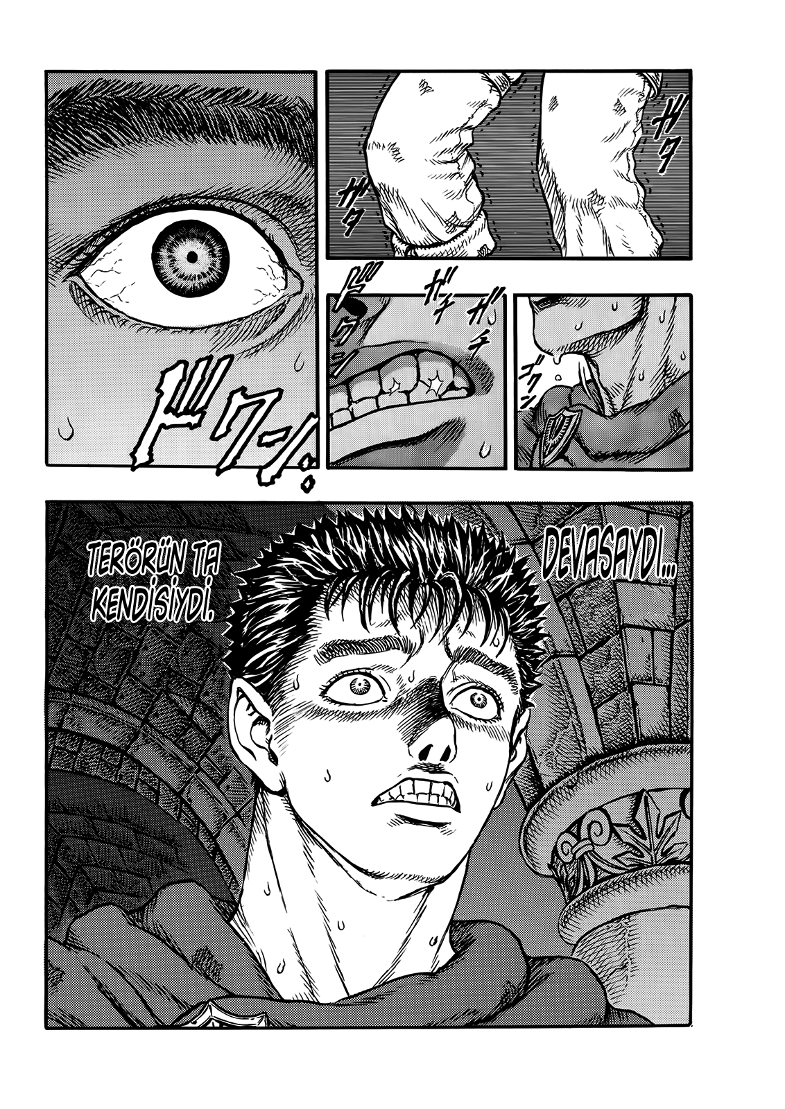 Read Berserk TR Manga Online