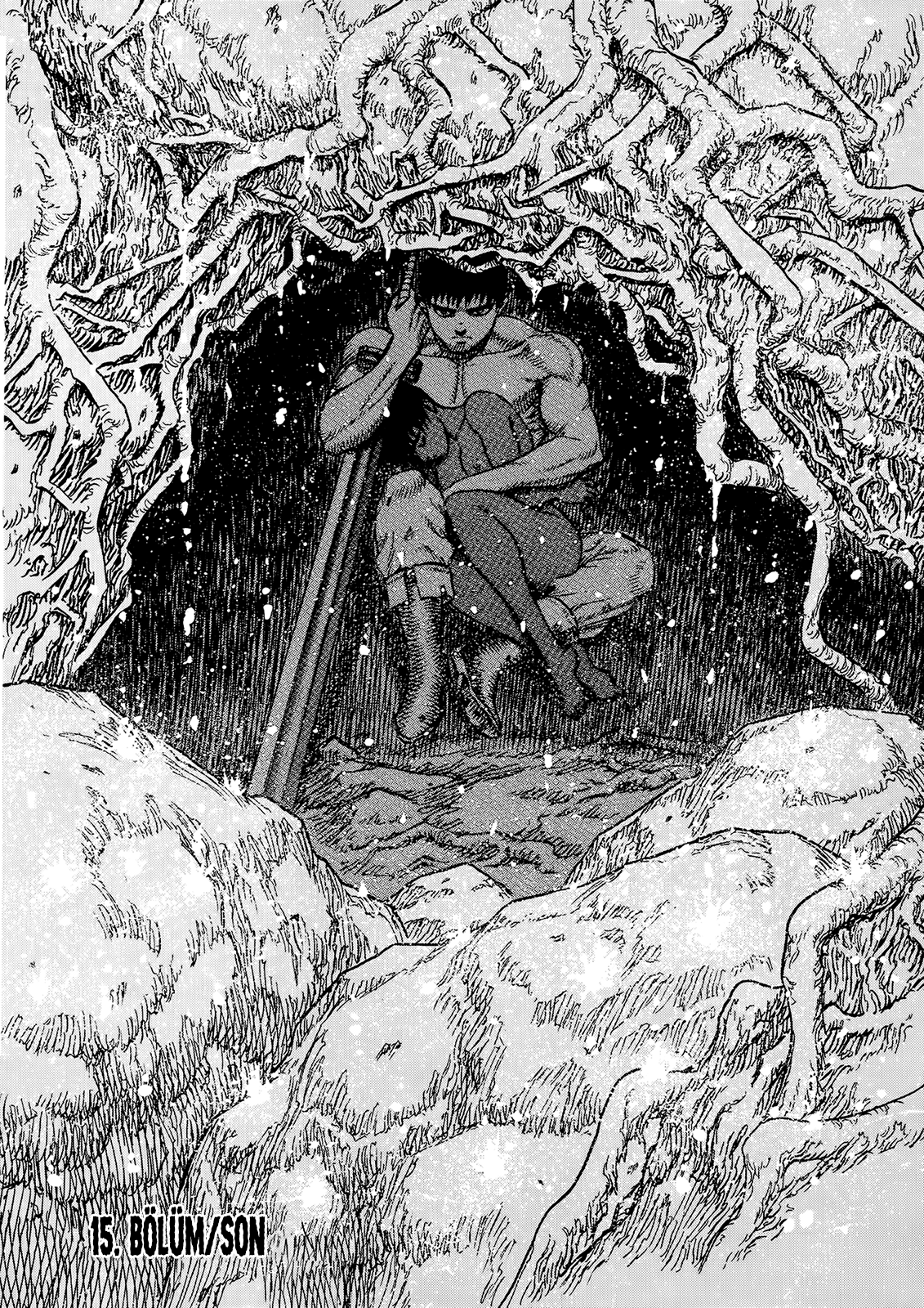 Read Berserk tr Manga Online