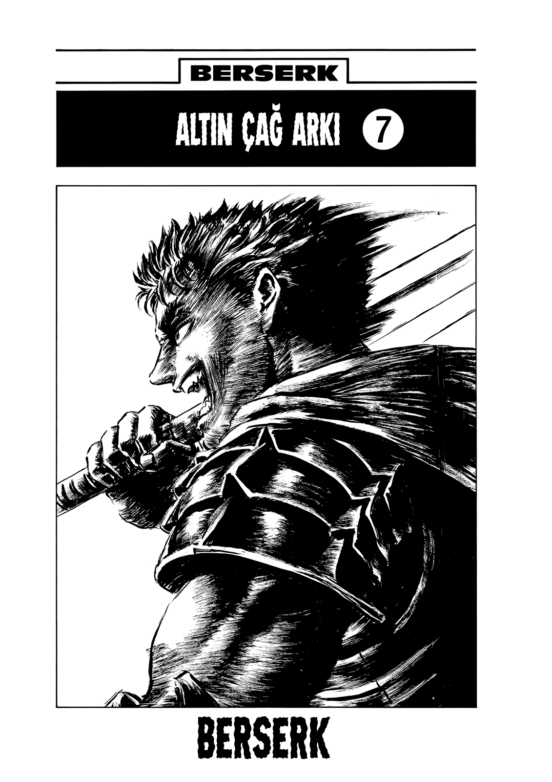 Read Berserk tr Manga Online