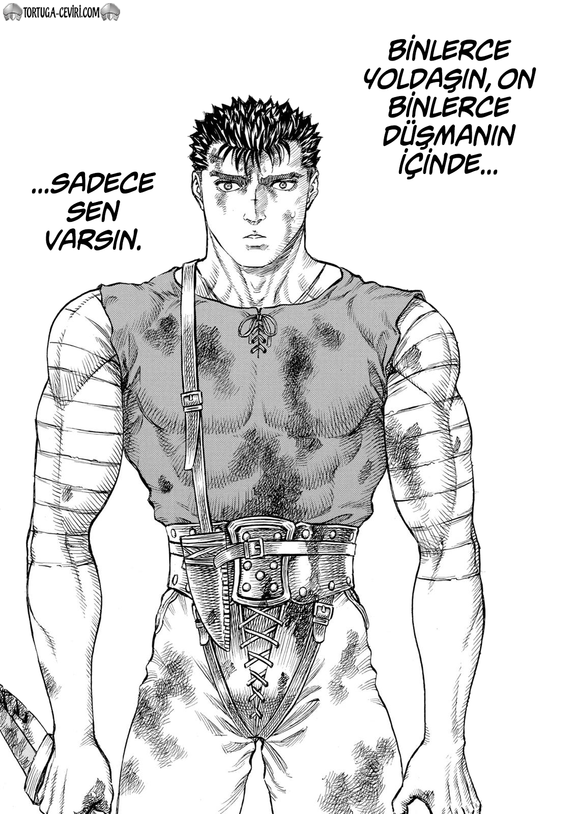 Read Berserk tr Manga Online