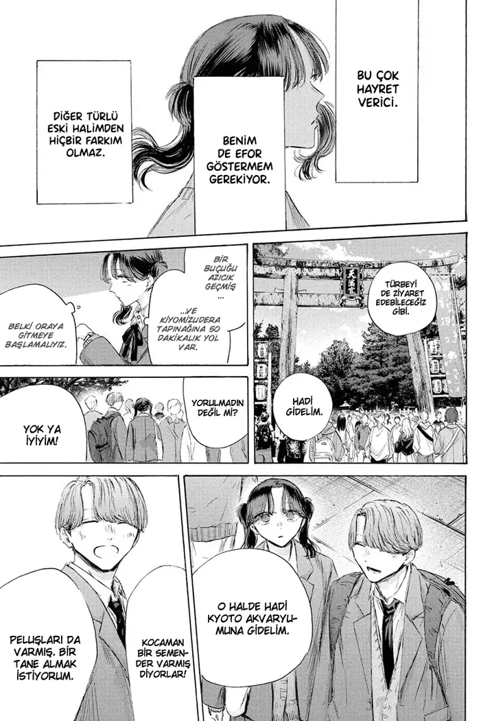 Read Blue Box TR Manga Online