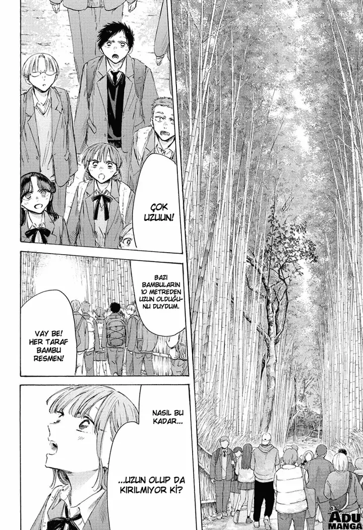 Read Blue Box TR Manga Online