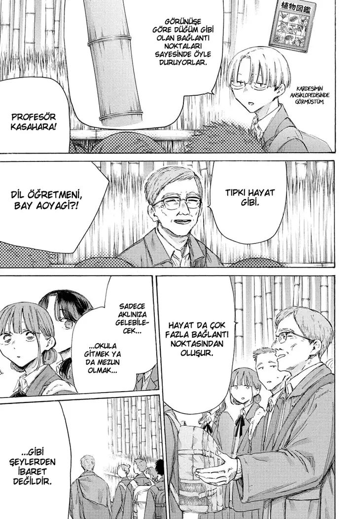 Read Blue Box TR Manga Online