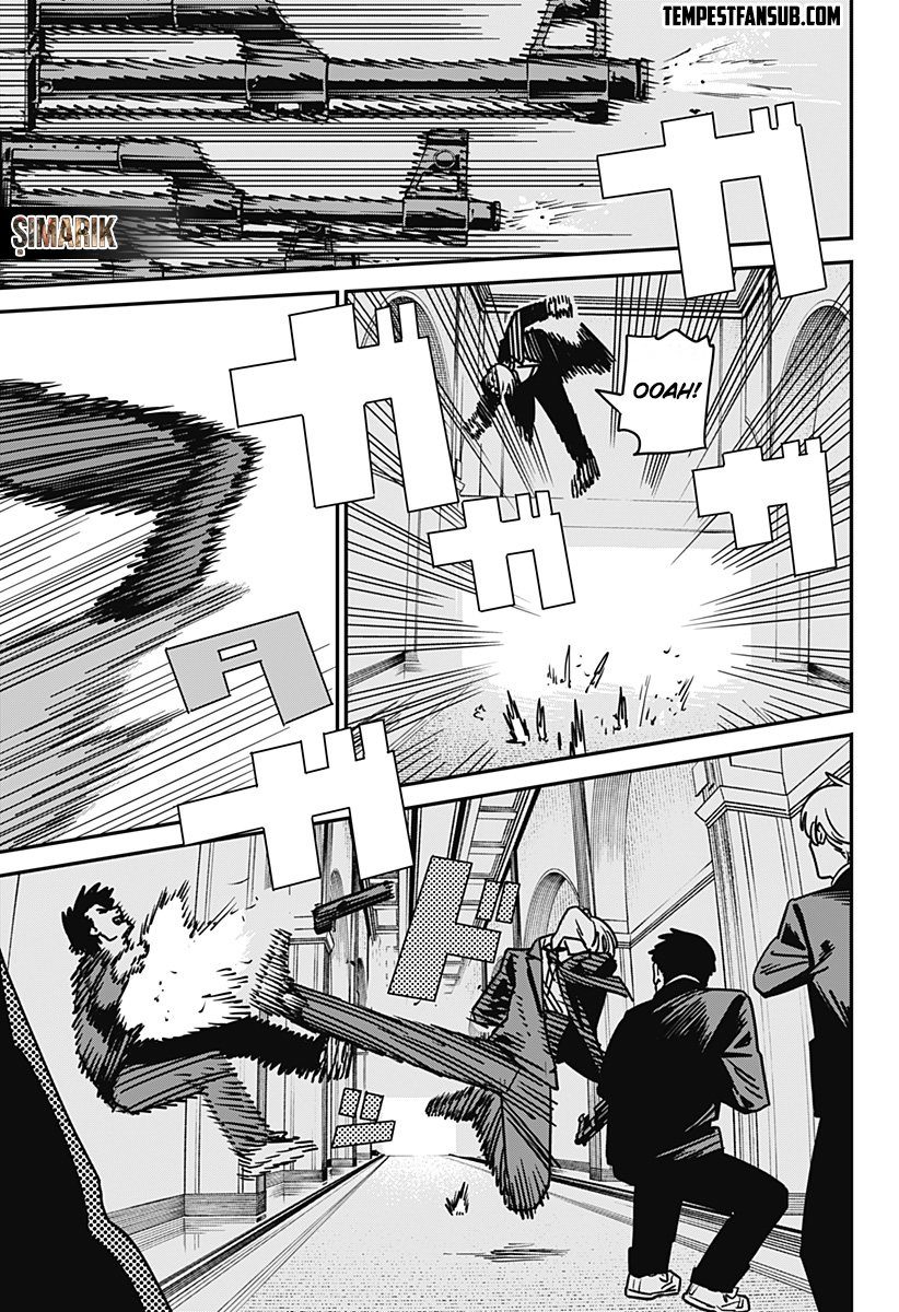 Read Chainsaw Man tr Manga Online