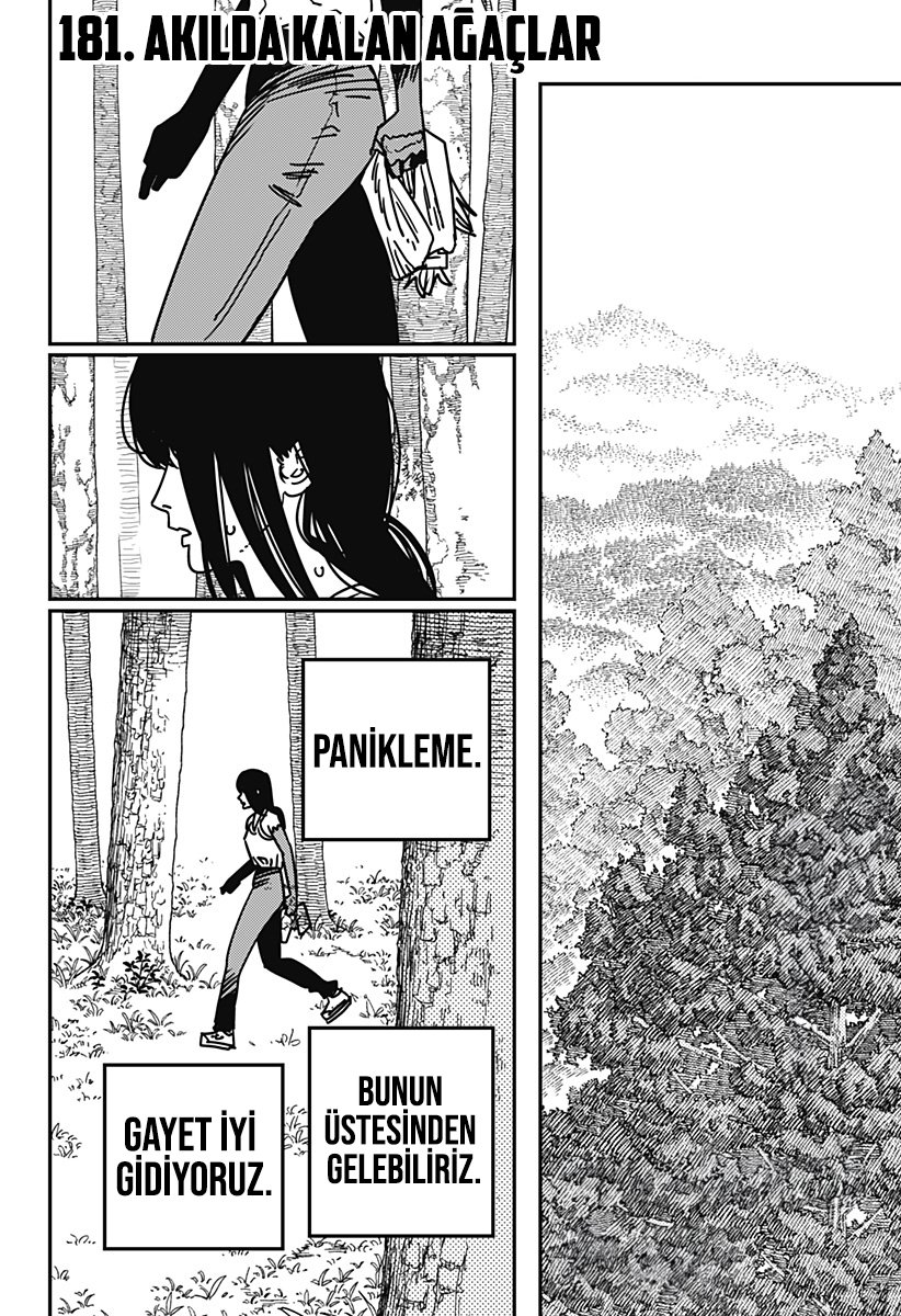 Read Chainsaw Man tr Manga Online