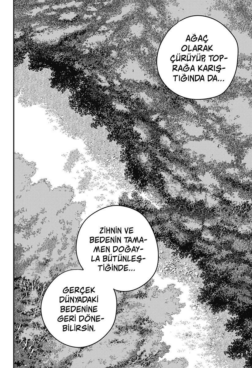 Read Chainsaw Man tr Manga Online
