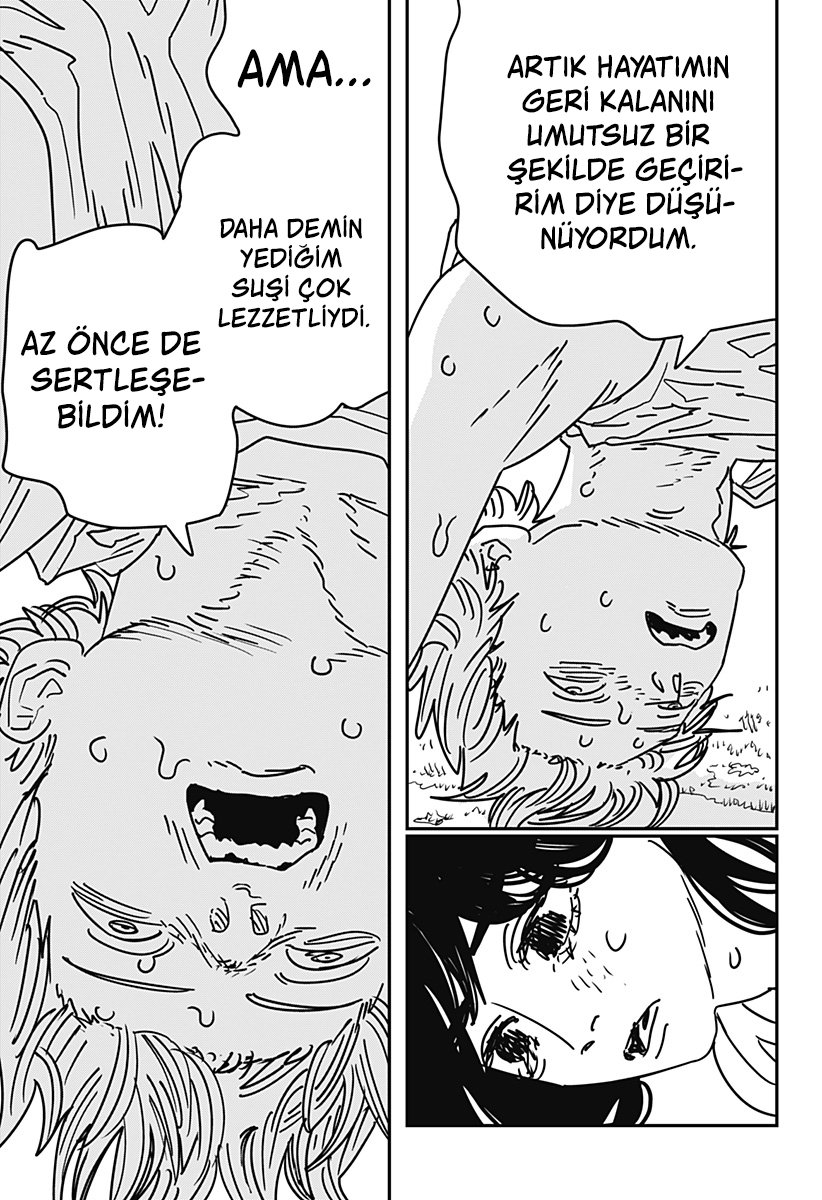 Read Chainsaw Man tr Manga Online
